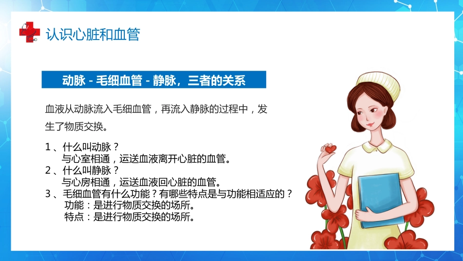 血液循环知识讲座汇报(9)_第13页