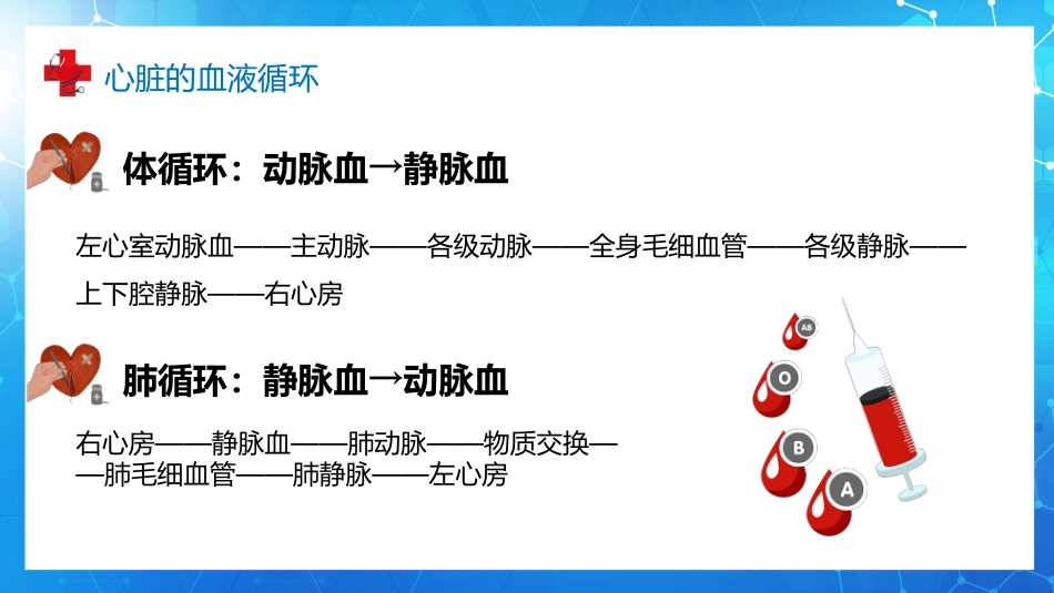 血液循环知识讲座汇报(9)_第15页
