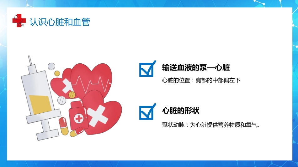 血液循环知识讲座汇报(9)_第4页