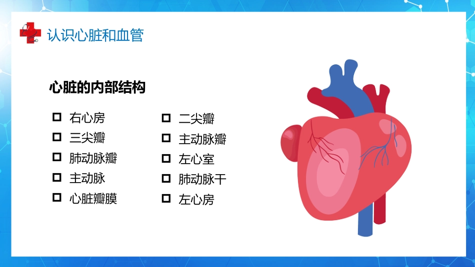 血液循环知识讲座汇报(9)_第6页