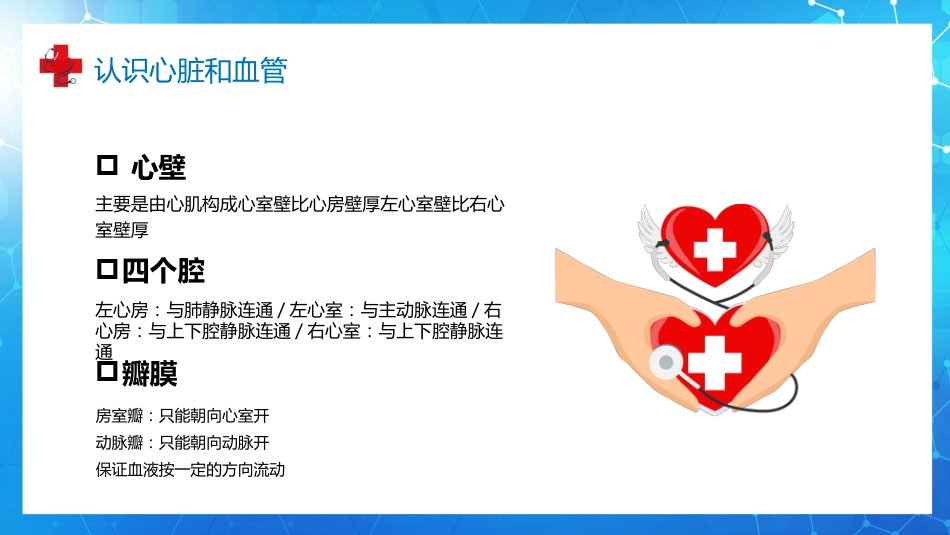 血液循环知识讲座汇报(9)_第7页