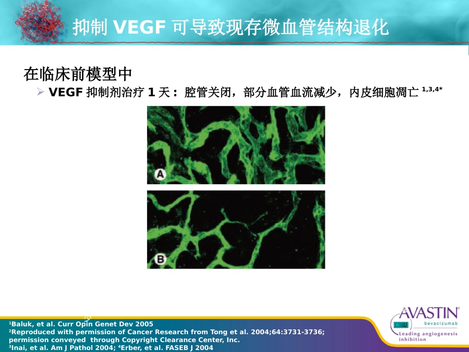 贝伐珠单抗从基础到临床_第11页