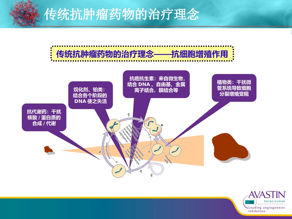 贝伐珠单抗从基础到临床_第2页