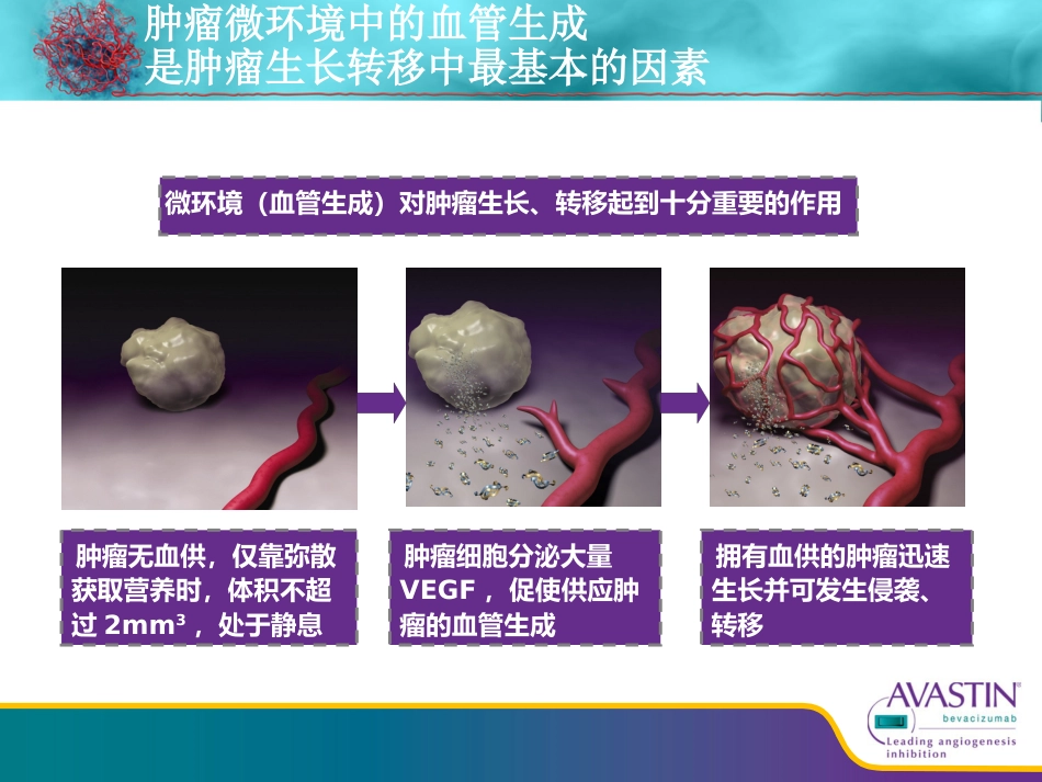 贝伐珠单抗从基础到临床_第4页
