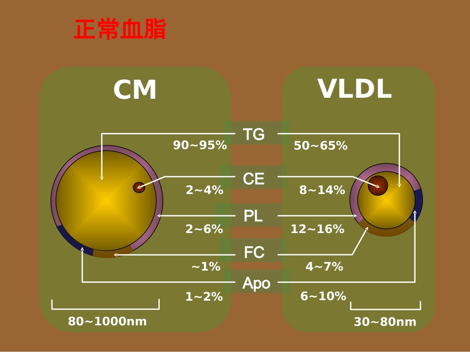 老年医学 老年脂代谢异常_第4页