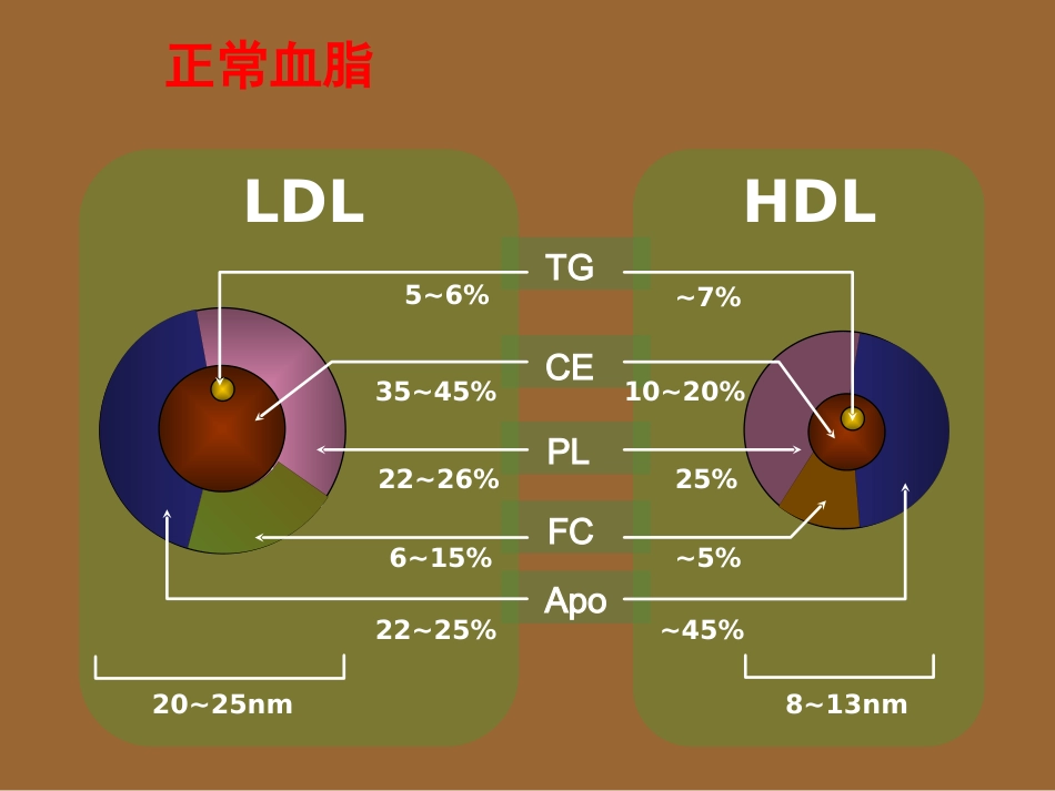 老年医学 老年脂代谢异常_第5页