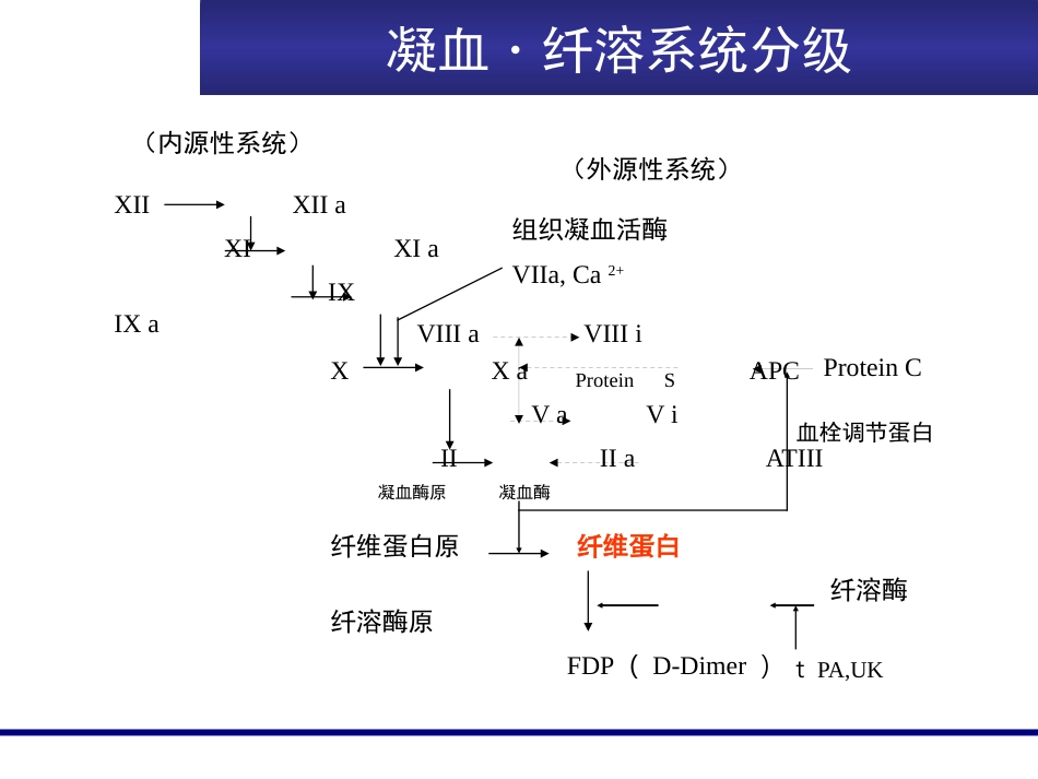 FDP、D-D临床意义_第2页