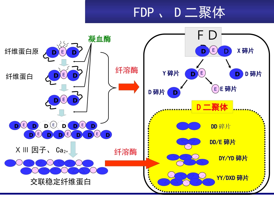 FDP、D-D临床意义_第6页