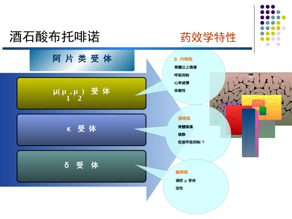 布托啡诺临床应用_第6页