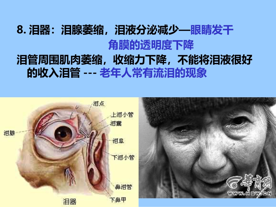 老年人各系统的老化改变_第11页