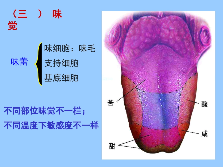 老年人各系统的老化改变_第15页