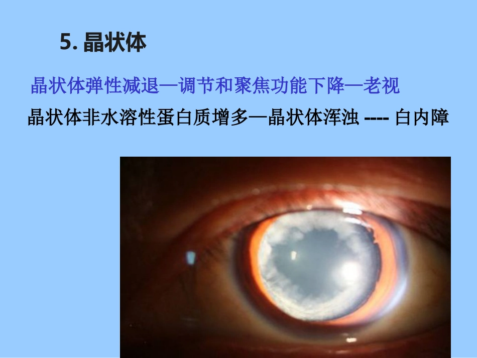 老年人各系统的老化改变_第7页
