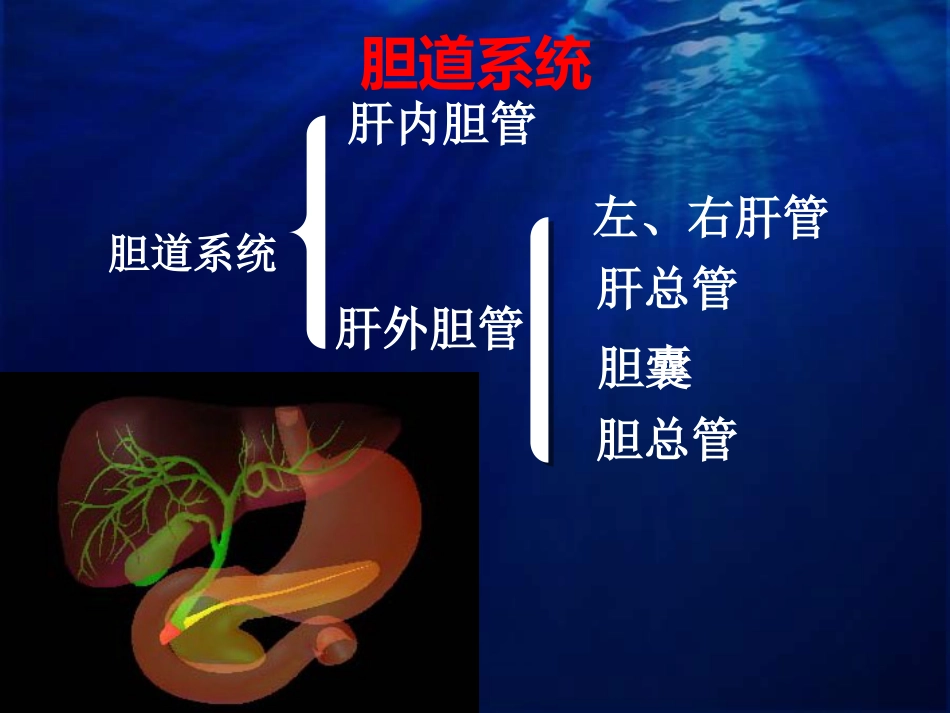 老年胆道疾病课件_第4页