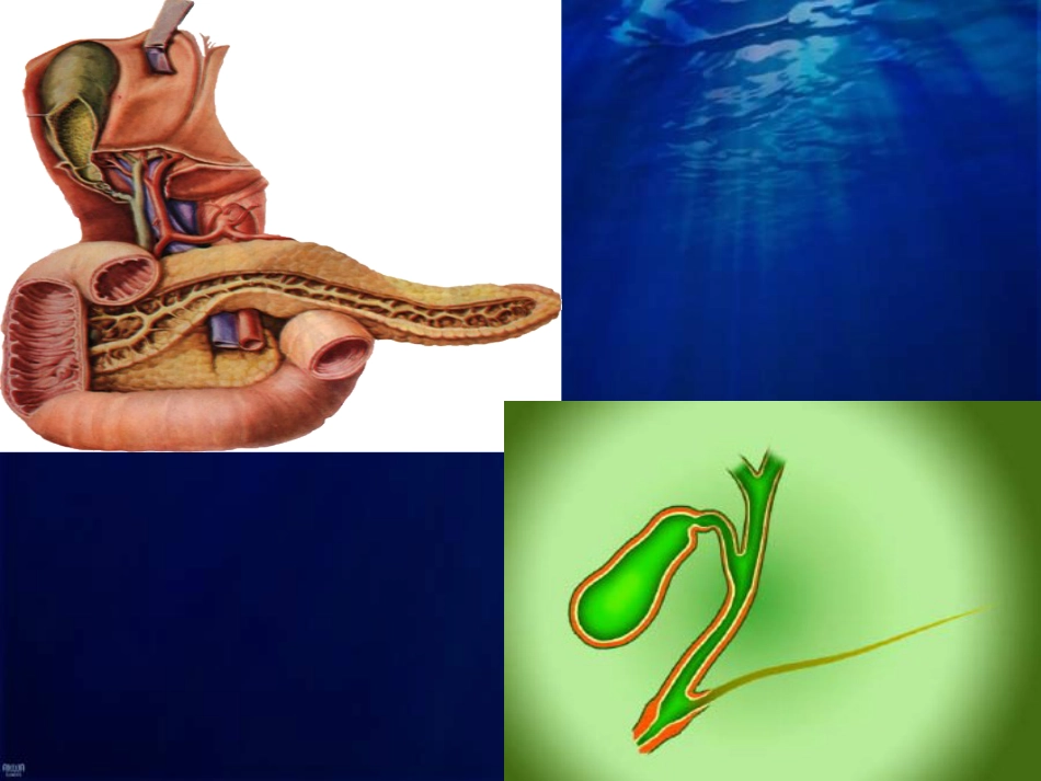 老年胆道疾病课件_第5页