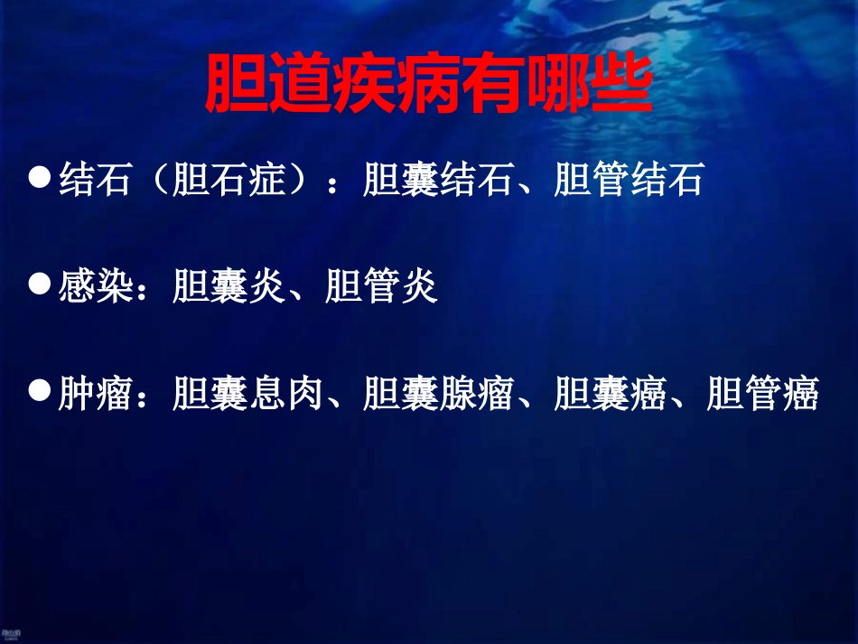 老年胆道疾病课件_第8页