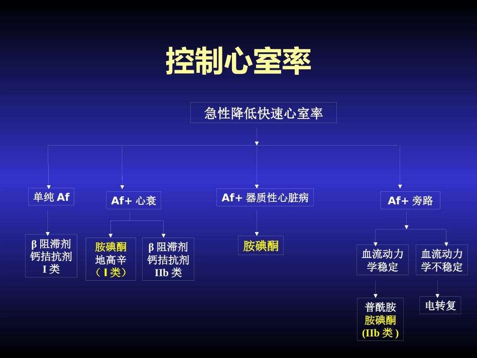 胺碘酮的临床应用_第15页