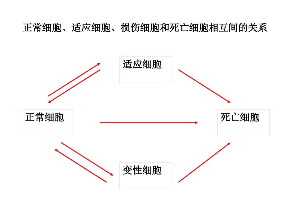 病理学绪论_第11页
