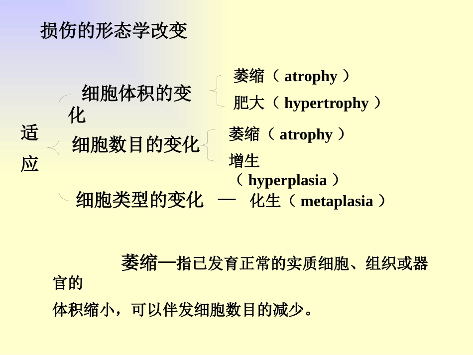 病理学绪论_第12页