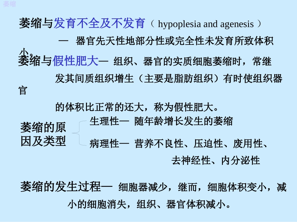 病理学绪论_第13页
