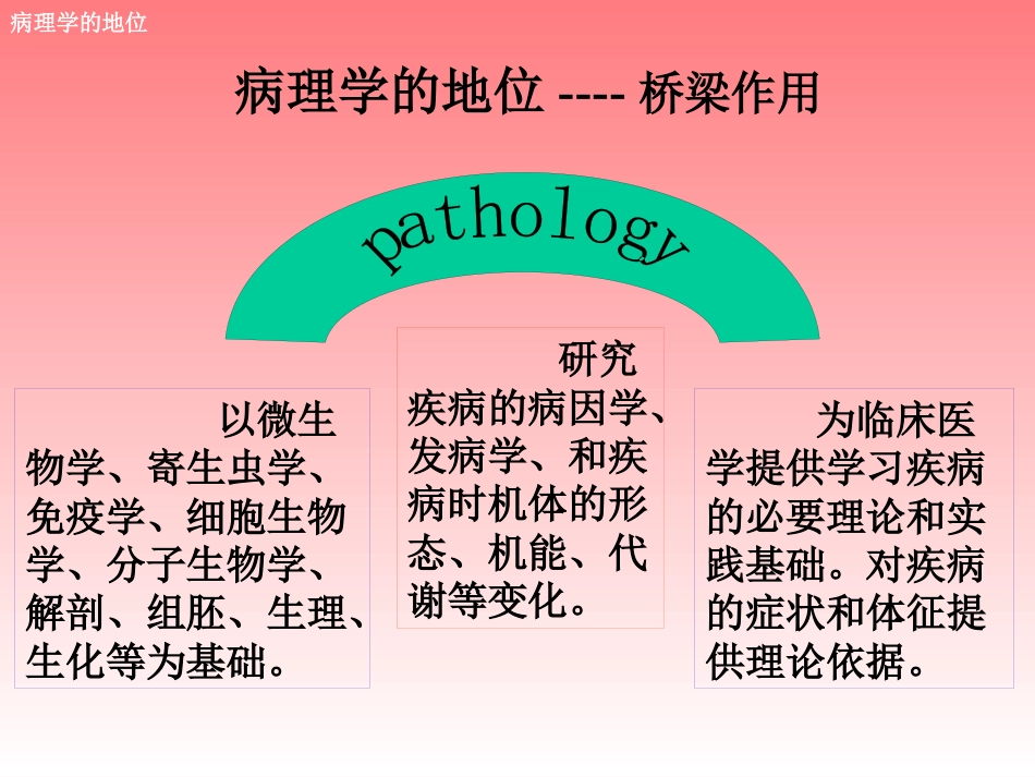 病理学绪论_第5页