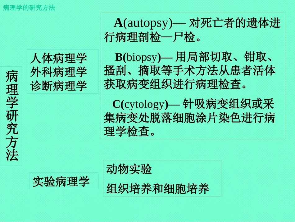 病理学绪论_第6页