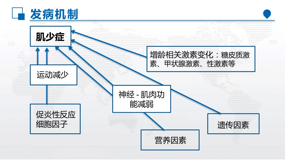 老年肌少症早期筛查与风险评估_第12页