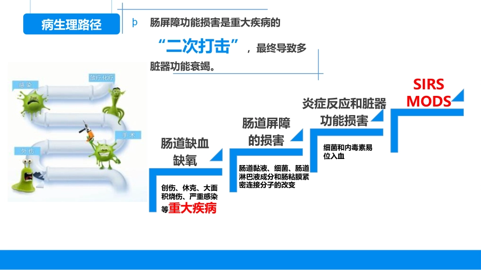 肠道屏障功能评价的方法与临床应用_第10页