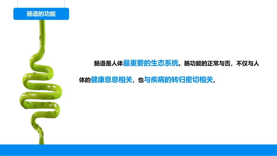 肠道屏障功能评价的方法与临床应用_第6页