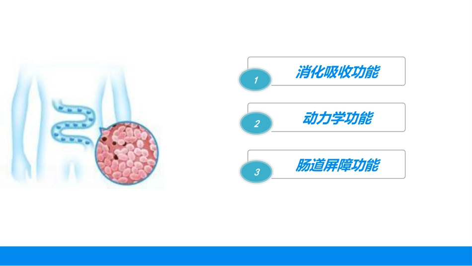 肠道屏障功能评价的方法与临床应用_第7页
