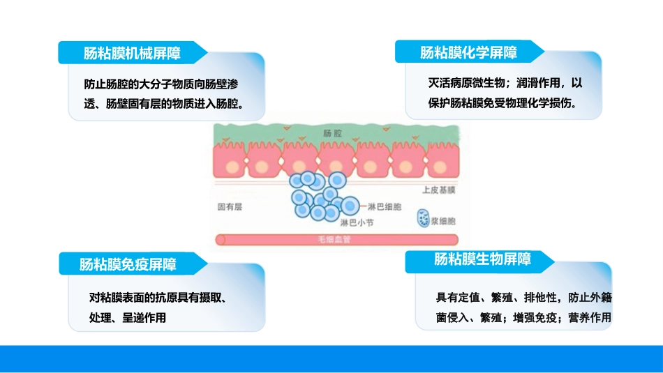 肠道屏障功能评价的方法与临床应用_第8页