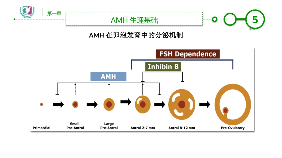 AMH临床应用_第5页