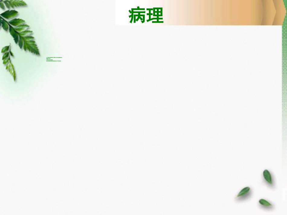 骨科-强直性脊柱炎_第10页