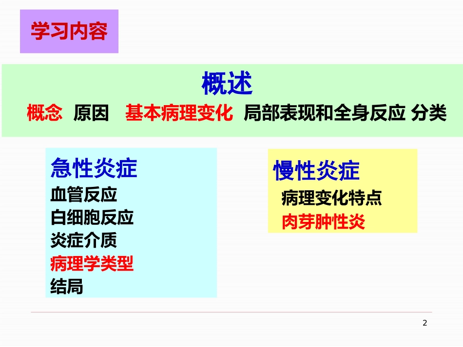病理学--炎症_第2页