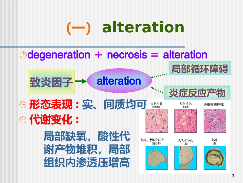 病理学--炎症_第7页