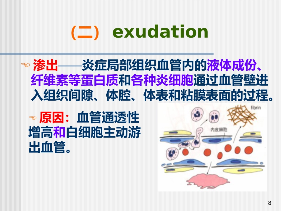 病理学--炎症_第8页