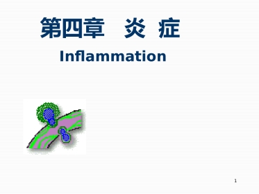 病理学--炎症
