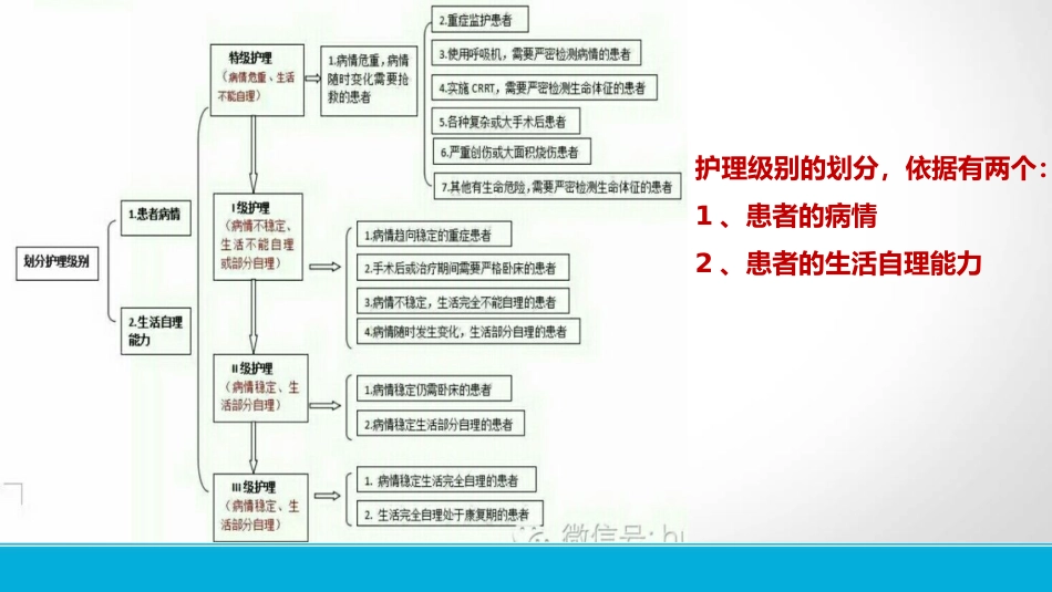 老年综合评估_第14页