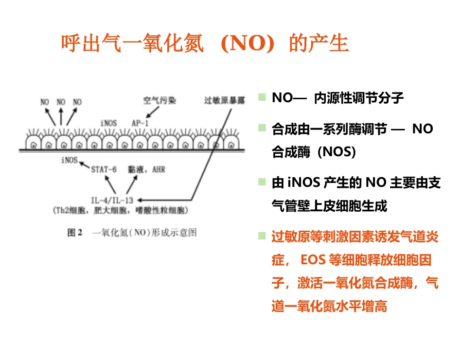 FeNO临床应用_第7页