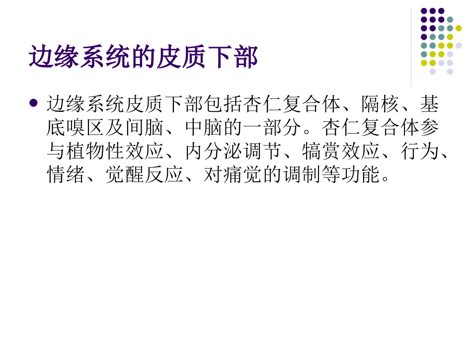 边缘系统的解剖与临床_第11页