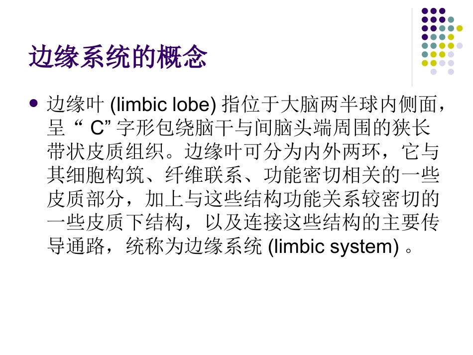 边缘系统的解剖与临床_第2页
