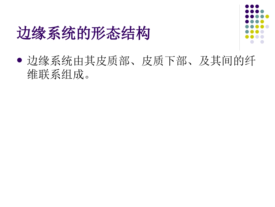边缘系统的解剖与临床_第6页