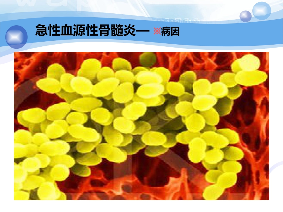 骨科-骨与关节化脓性感染、结核_第7页