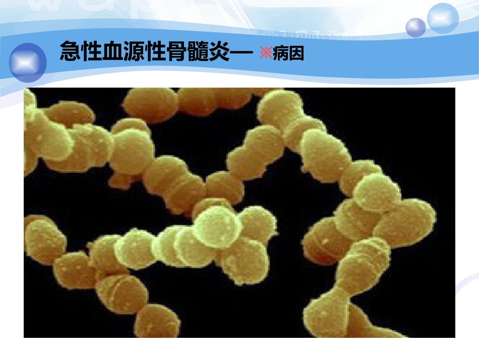 骨科-骨与关节化脓性感染、结核_第8页