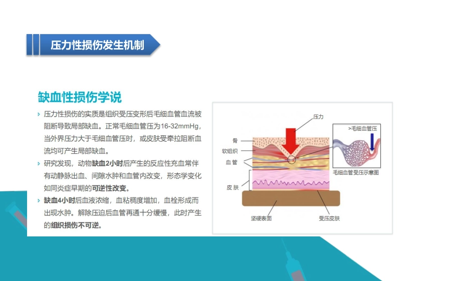 老年患者的皮肤管理_第11页