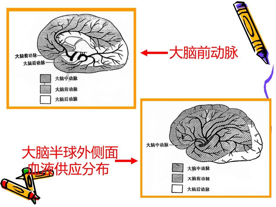 老年神经系统疾病_第10页