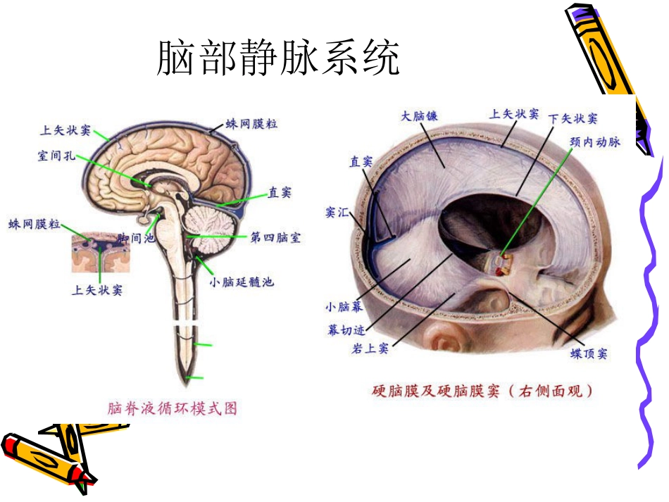 老年神经系统疾病_第13页