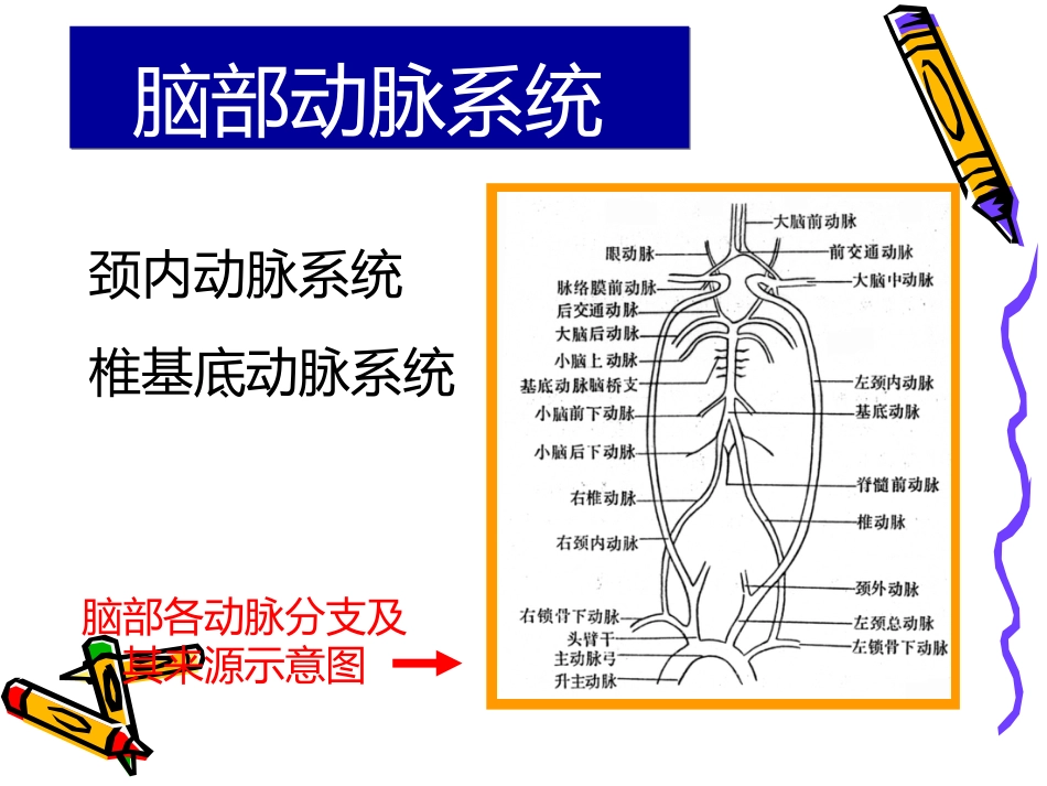 老年神经系统疾病_第5页