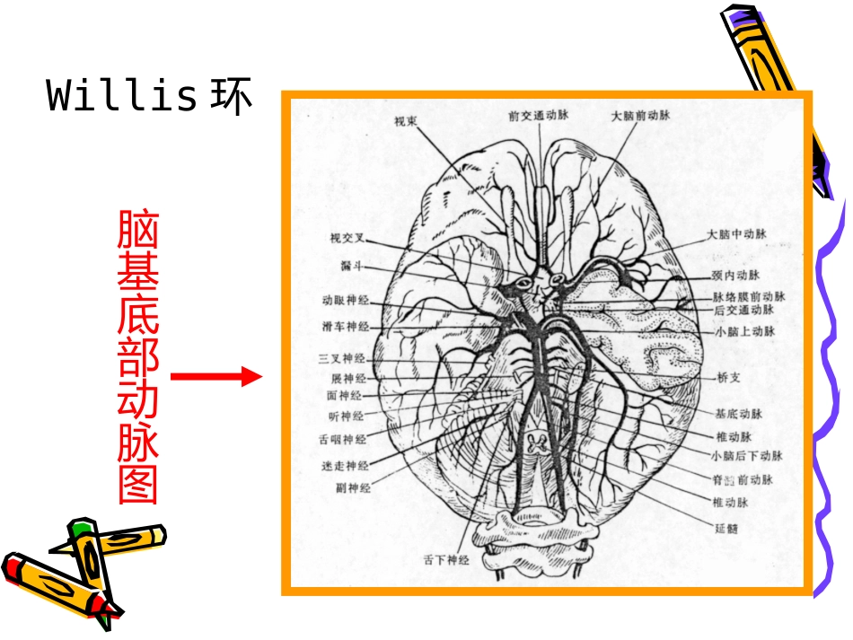 老年神经系统疾病_第6页