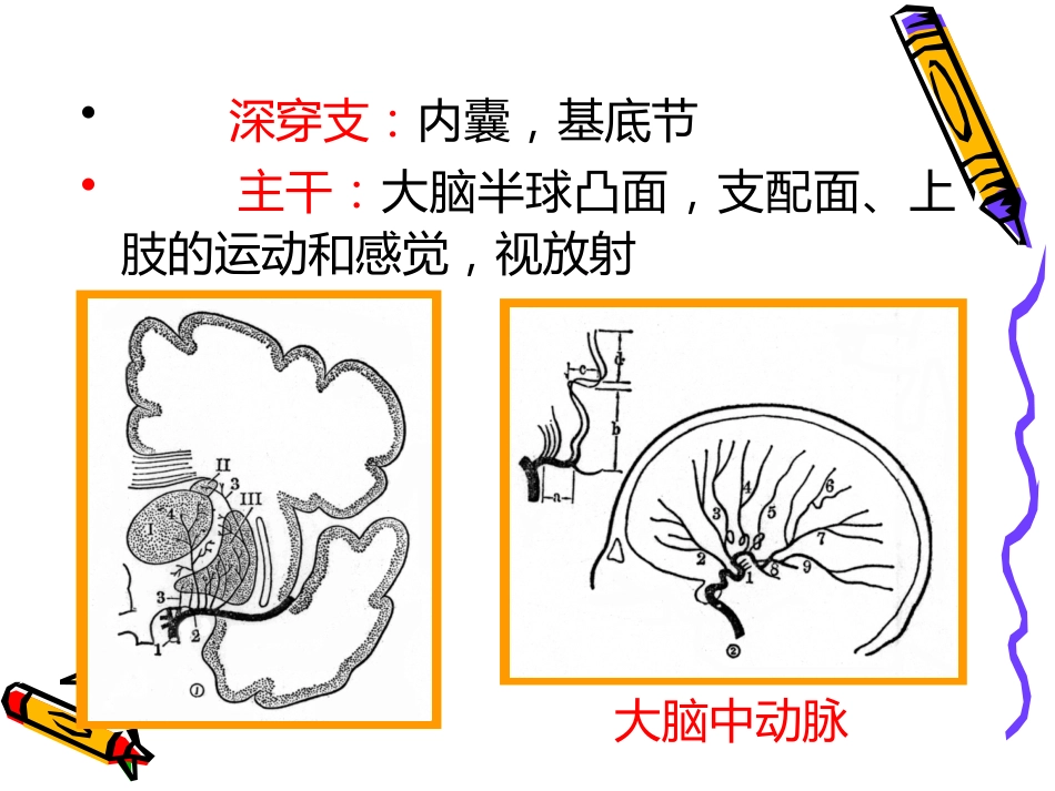 老年神经系统疾病_第8页