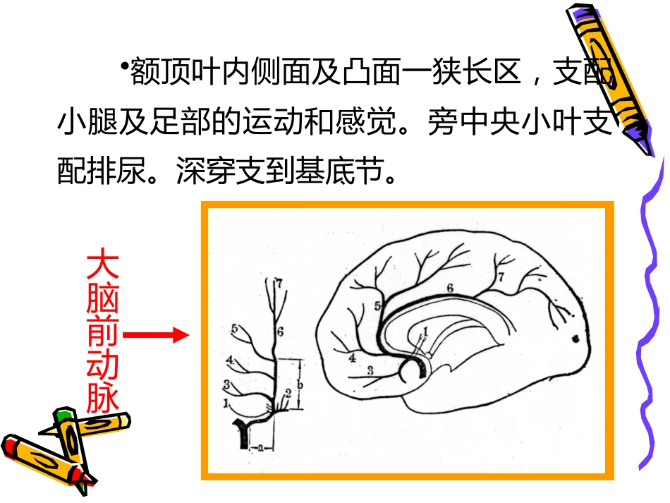 老年神经系统疾病_第9页